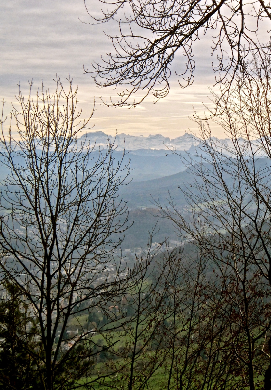 Bildschirmfoto 2024-01-18 um 17.53.01.png