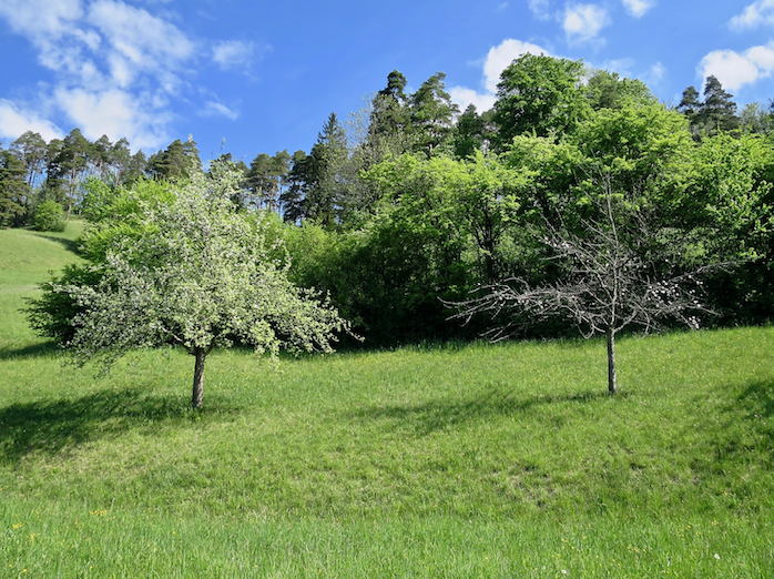 Bildschirmfoto 2024-04-28 um 19.51.04.png