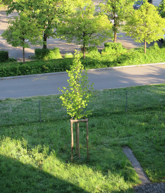 Bildschirmfoto 2024-05-29 um 19.56.19.png