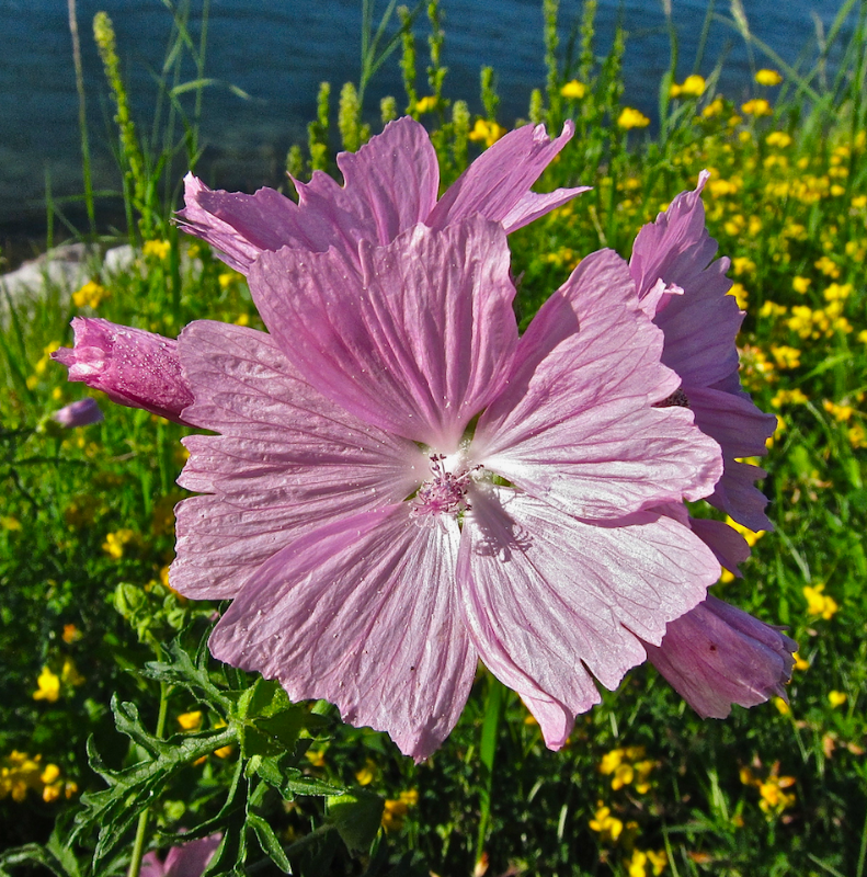 Bildschirmfoto 2024-08-31 um 16.43.17.png