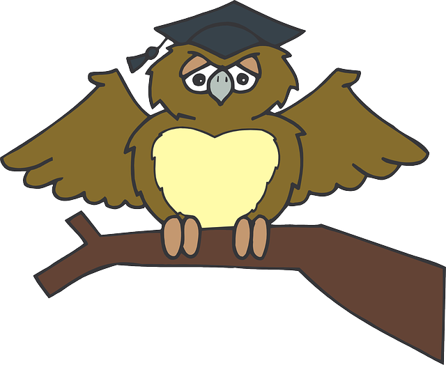 owl-44552_640.png