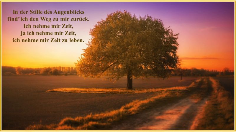 In der Stille des Augenblicks-Anke Zohm.png