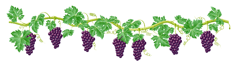 kisspng-common-grape-vine-clip-art-vine-cliparts-transparent-5a89ecc0add2a7.661935221518988480712.png