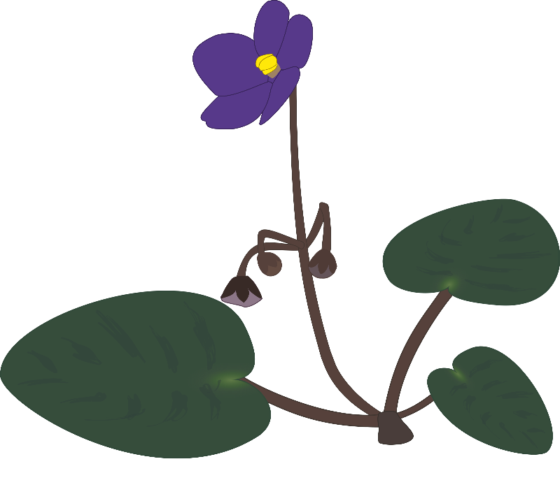 kisspng-african-violets-clip-art-violet-5ac354b8c6d984.9143029315227506488145.png