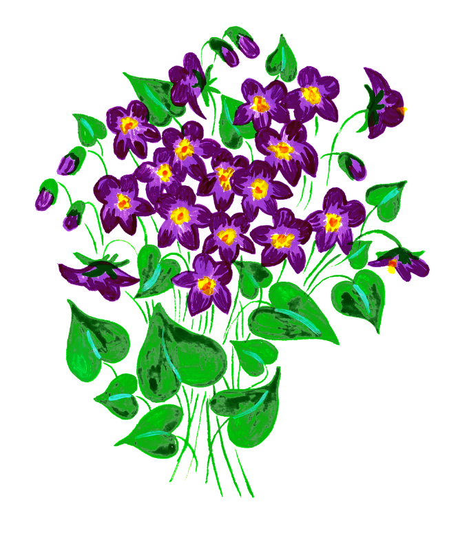 violets-gd88d50d12_1280.png