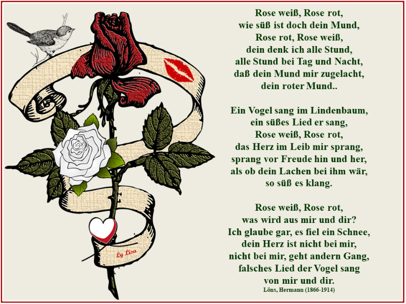 Rose weiß, Rose rot.png