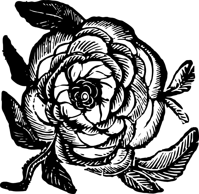 rose-3183290_1280.png