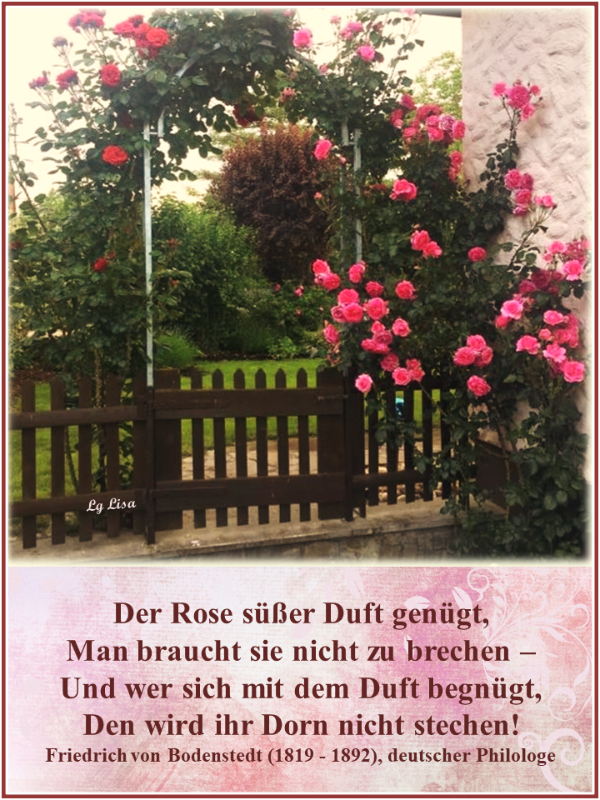 Der Rose süßer Duft .png