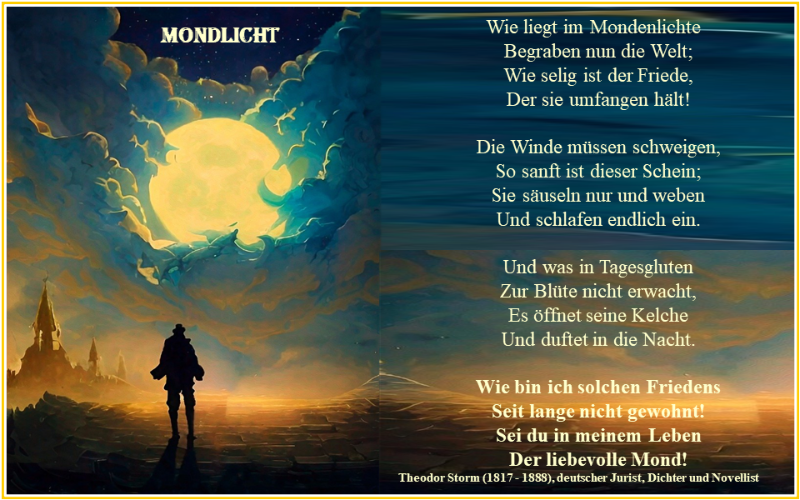 Mondlicht .png