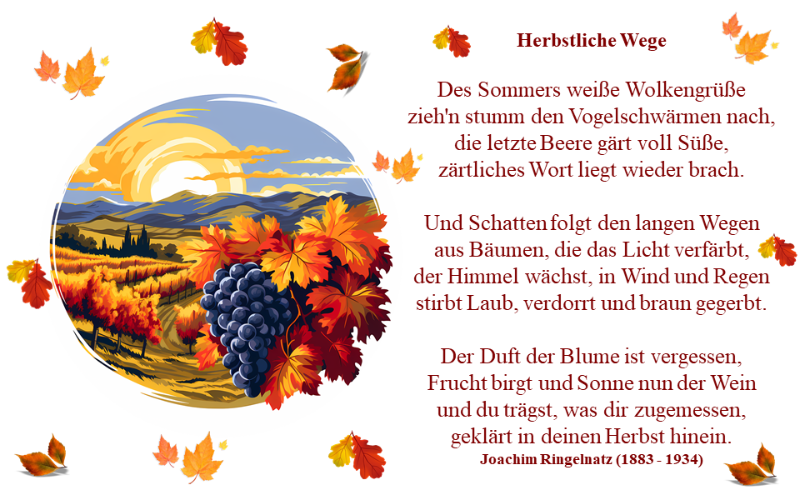 Herbstliche Wege .png