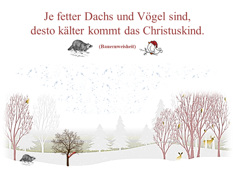 Kälte- Christkind.png