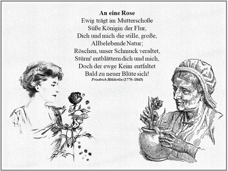 An eine Rose.png