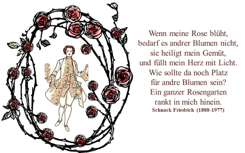 Meine Rose blüht.png