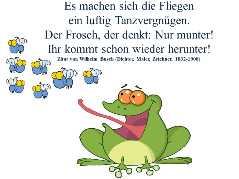 Frosch-Fliegen.png