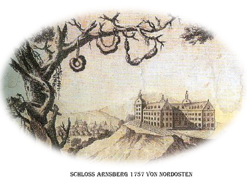 Schloss Arnsberg .png