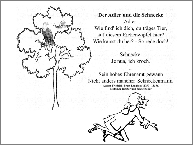 Adler - Schnecke.png