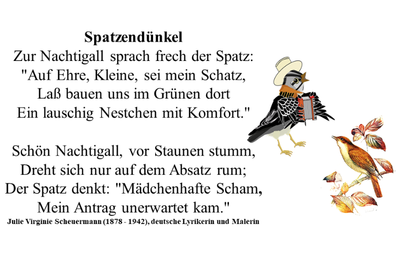 Spatzendünkel.png