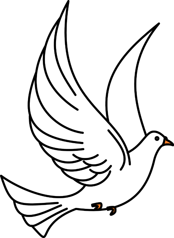 dove-40861_1280.png