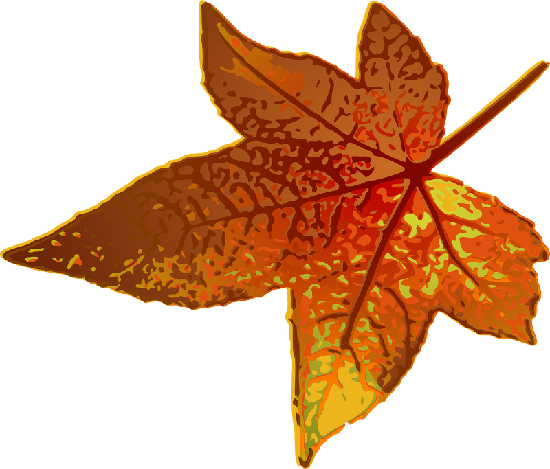 maple-303532_1280.png