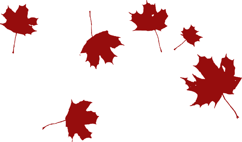 maple-303541_1280.png