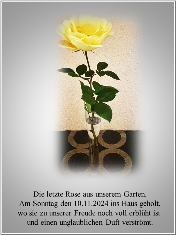 Letzte Rose.png