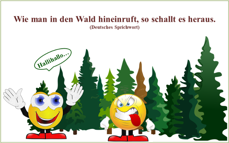 Echo-Wald-Manchmal.png