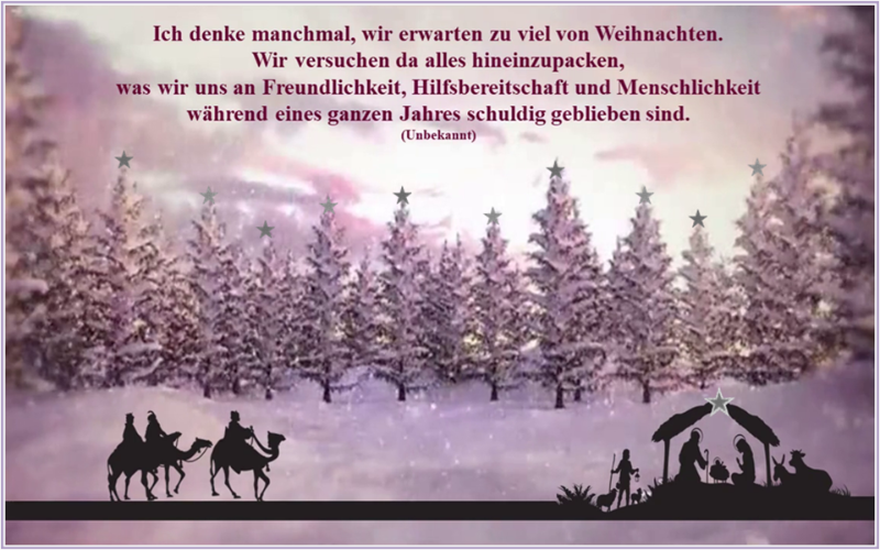 Erwartungen an Weihnachten.png