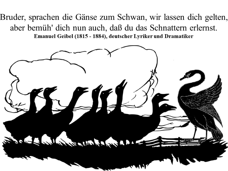 Gänse-Schwan.png