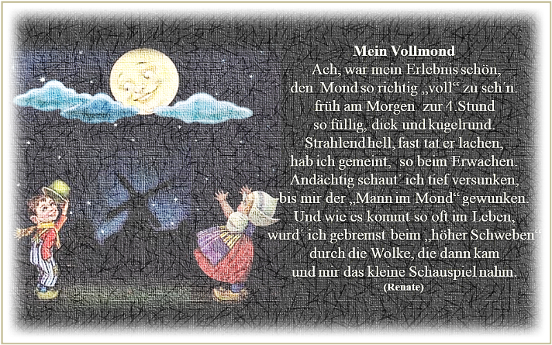 Mein Vollmond-ladybird  Renate1.png