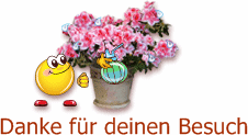 0- danke Besuch.gif