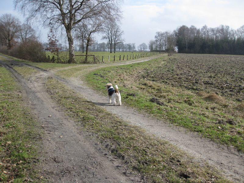 März...Frühling...2012 016.JPG