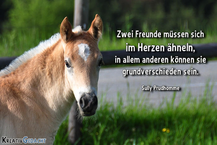 Freunde-muessen-sich-1.jpg