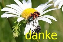 danke.jpg