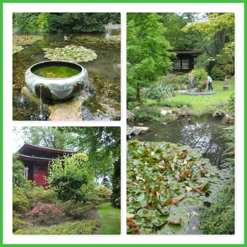 Collage Japanischer Garten.jpg