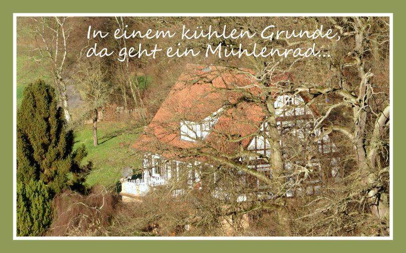 Mühle.JPG