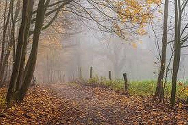 25b Herbststimmung in der Rhön.jpg