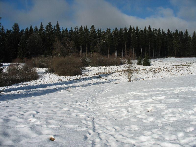 Weisser Stein 1.jpg