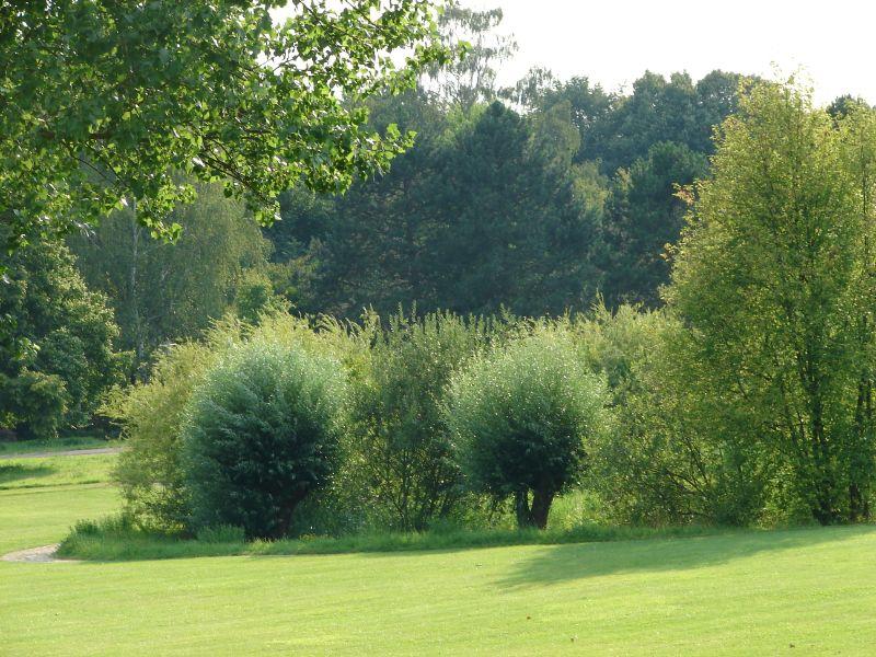 Berlin, Britzer Garten 22.07.2014 (126).JPG