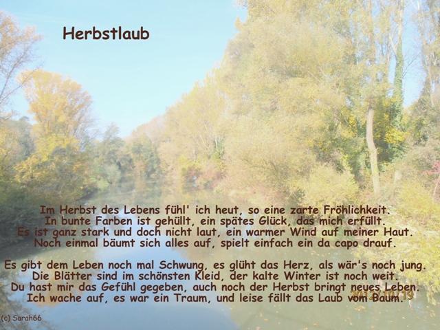 Herbstlaub.JPG