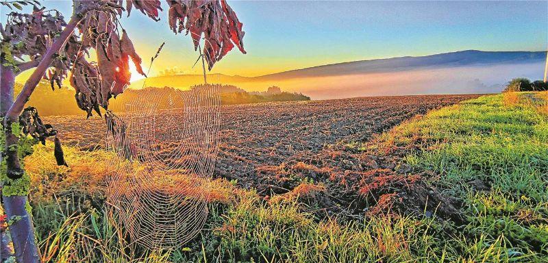 Herbst01.jpg