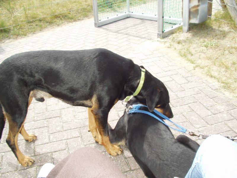 Borkum Besuch Björn 2004 006.jpg