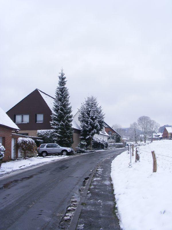 fast der letzte Winter  24112008 022.jpg