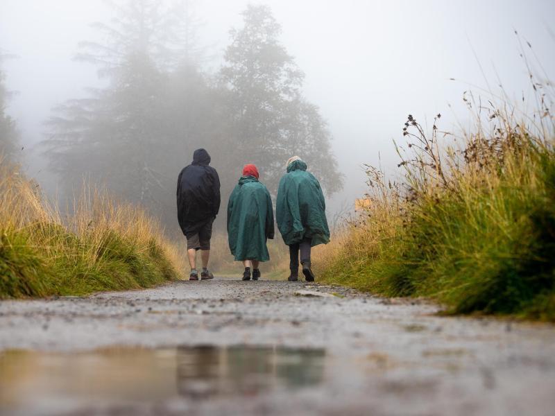 522069_1_org_Wanderer_sind_bei_Regen_und_Nebel_im_Harz_unterwegs._Foto_Moritz_Frankenberg_dpa.jpg