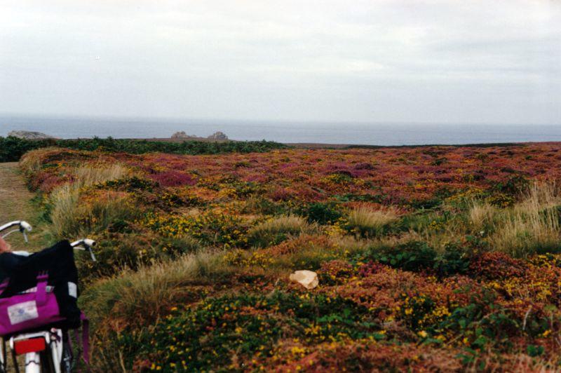 Bretagne Nr. 22 1991 Ile d'Ouessant Farben, Farben kleinwüchsig .jpg