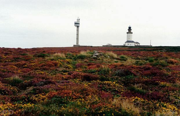 Bretagne Nr. 11 1991 Ile d'Ouessant Blumeninsel .jpg