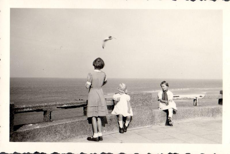 Foto 29 Möwen füttern statt Strand wegen Mumps bei Uschi.jpg