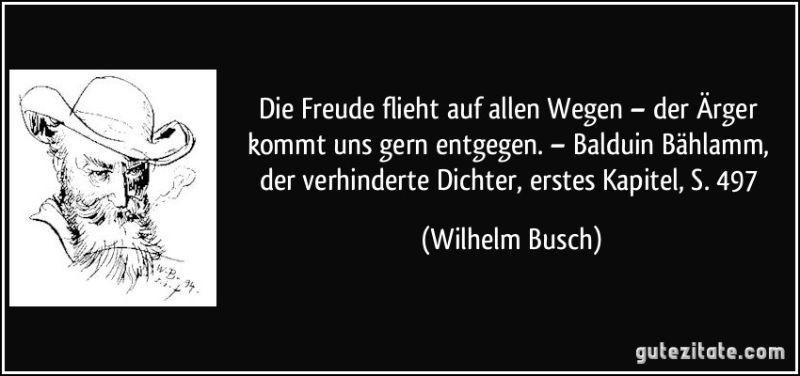 zitat-die-freude-flieht-auf-allen-wegen-der-arger-kommt-uns-gern-entgegen-balduin-bahlamm-wilhelm-busch-188026.jpg