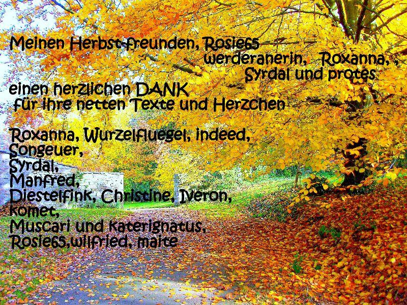 eifel im herbst 003.jpg