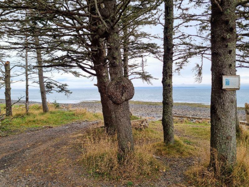 Strandidylle am Bay of Fundy PicnicPlatz.jpg