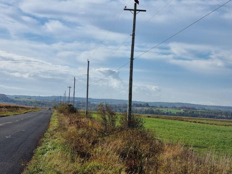 Minas Basin - Rückfahrt - Horizont alles Wald.jpg